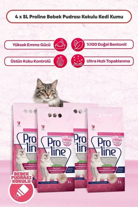 Proline Topaklanan Kedi Kumu