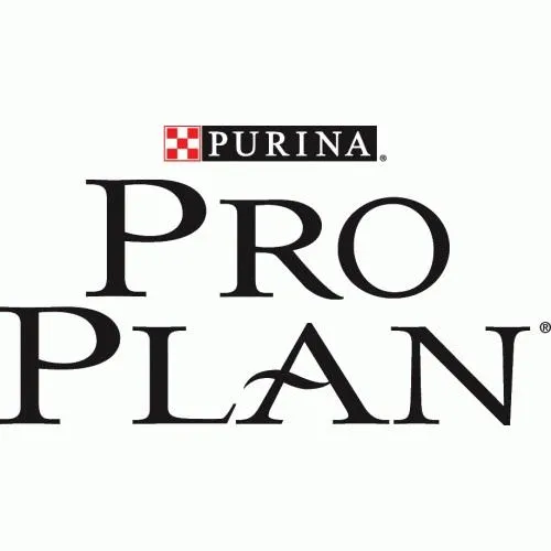 Pro Plan