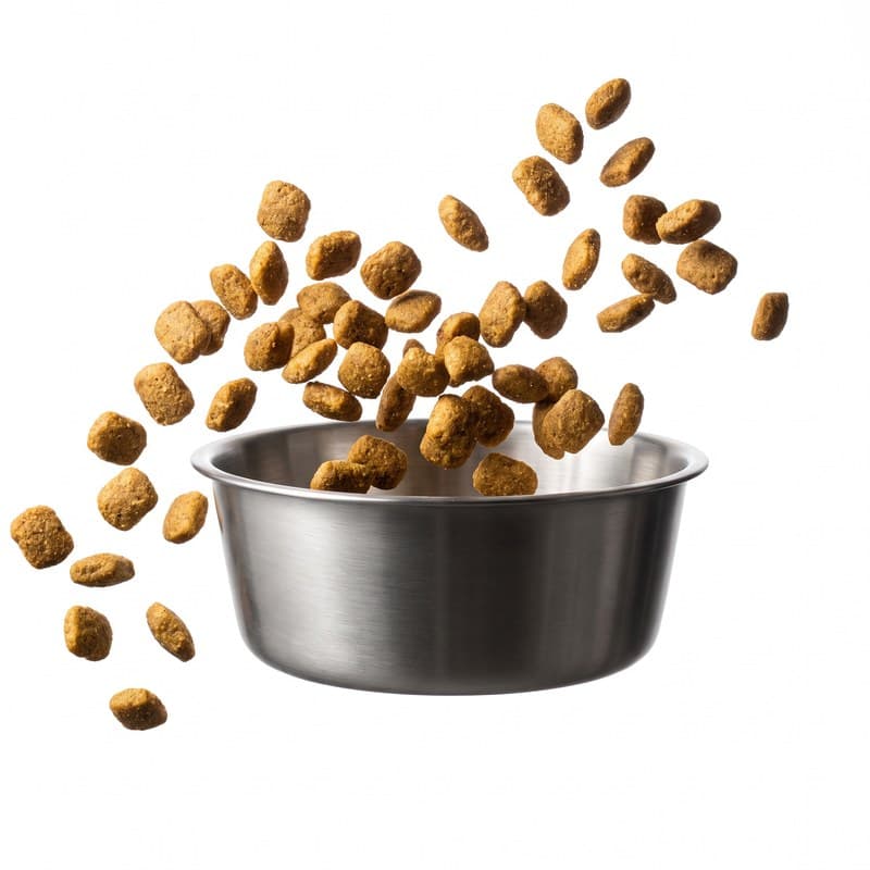 Yetişkin Köpek Maması